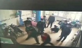 名中医爆料视频,传承千年养生智慧